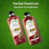 Herbal Essences Arabica Coffee Fruit Shampoo & Conditioner - Image 2