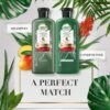 Herbal Essences  Potent Aloe + Mango Shampoo & Conditioner - Image 2